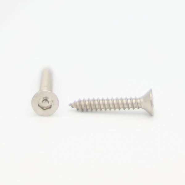 Stainless Steel Flat Head Socket Tamperproof