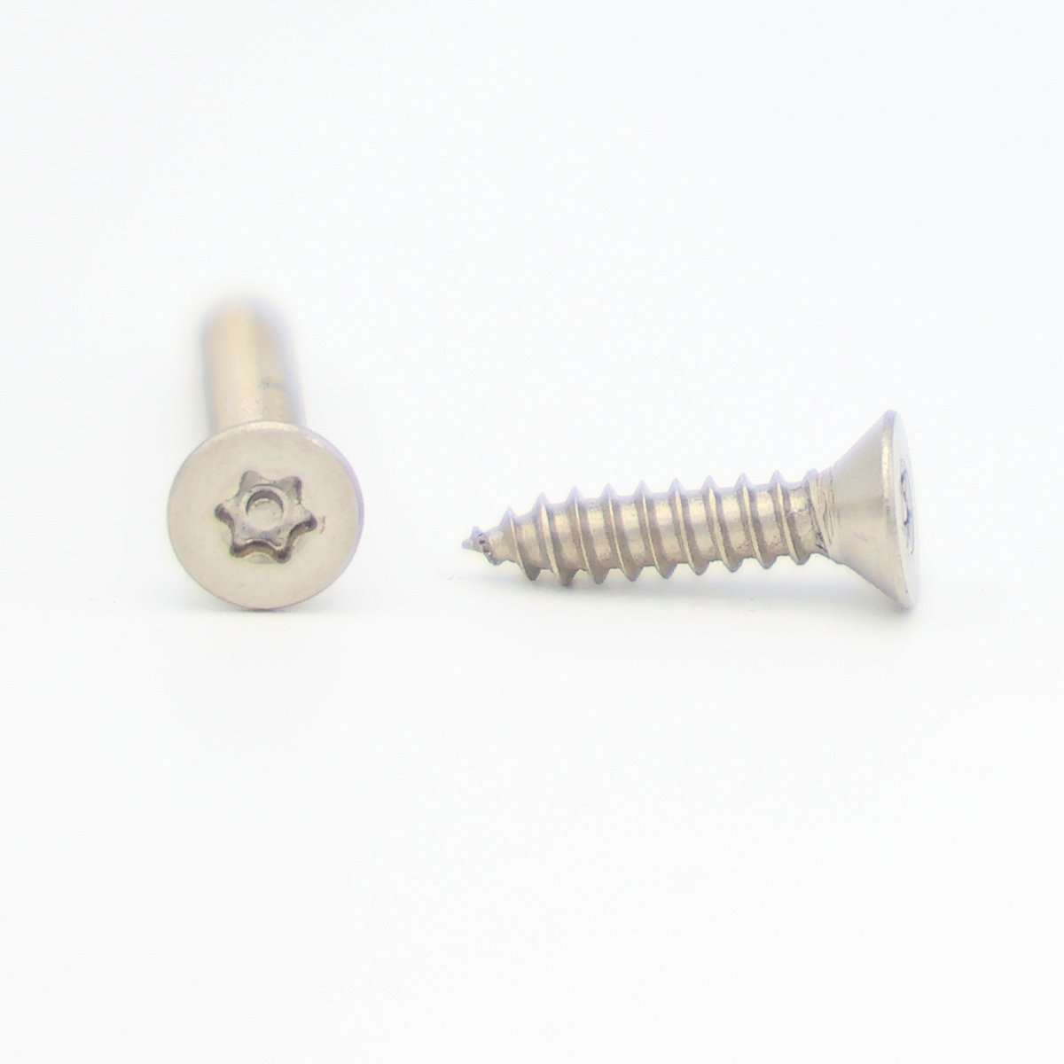 Viti Torx Testa Piana Acciaio Inox 18-8 - #6-32 X 1/4, Confezione Da 100, Albany County